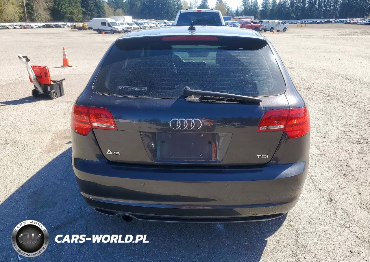 2013 Audi A3 Premium Plus VIN:WAUKJAFM1DA021250 - 6