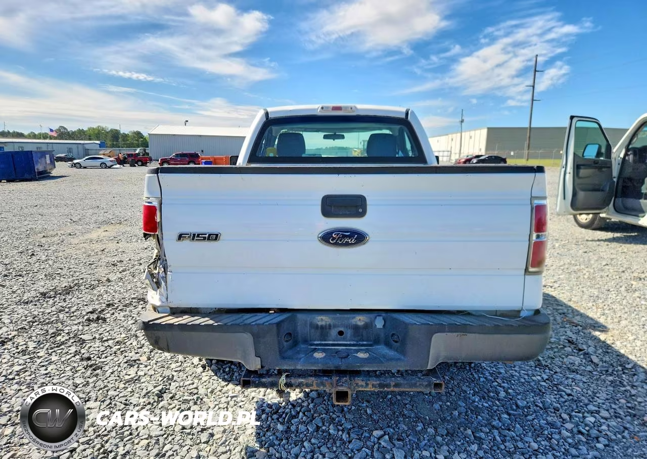 2009 Ford F150 VIN:1FTRF12W29KB49072 - 6