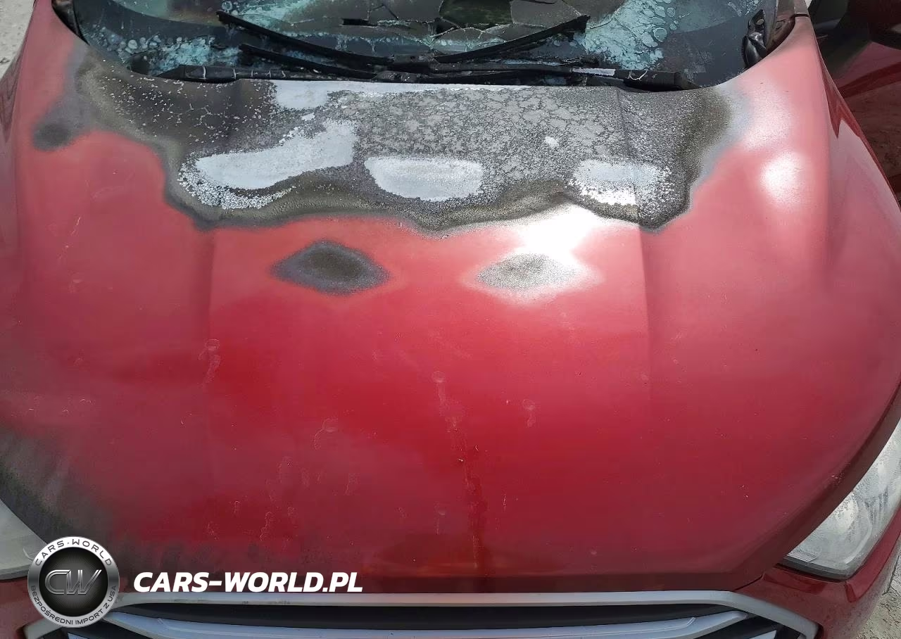 2021 Ford Ecosport Se VIN:MAJ3S2GE1MC453395 - 12