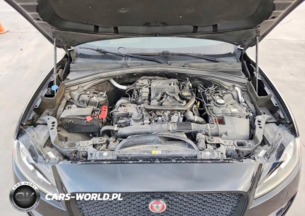 2018 Jaguar F-Pace Premium VIN:SADCJ2FX2JA266081 - 12
