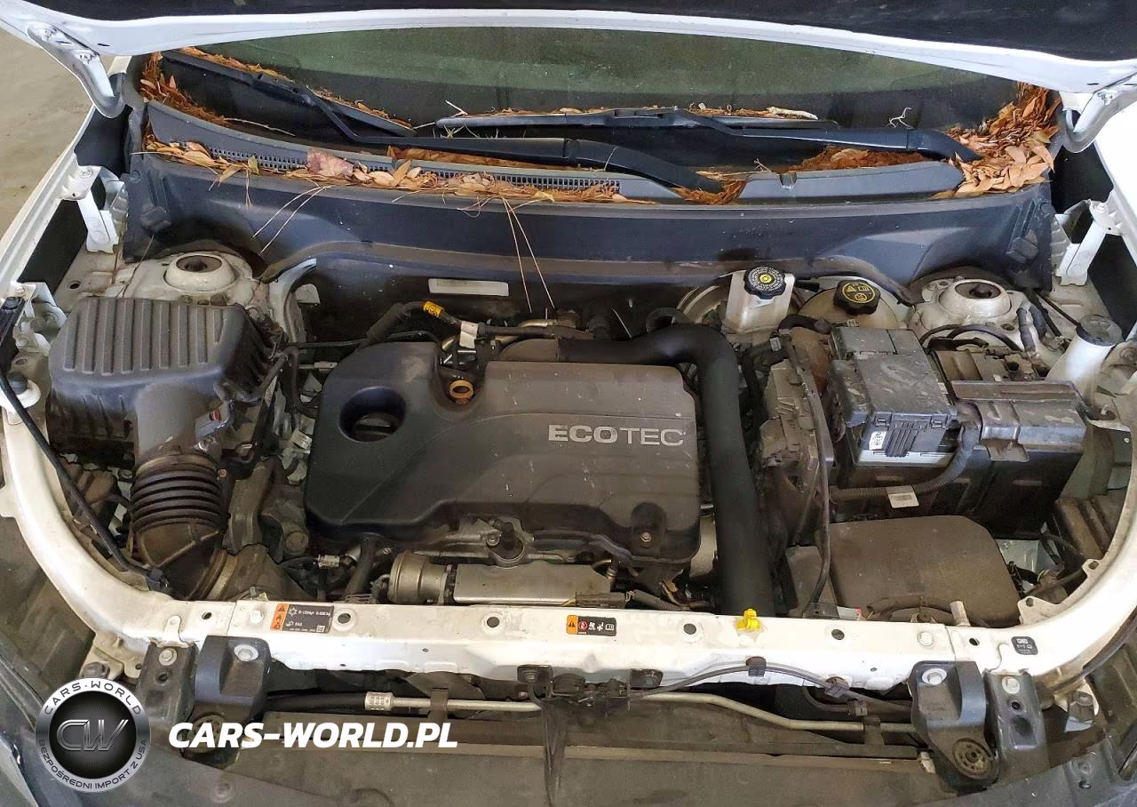 2019 Chevrolet Equinox Lt VIN:2GNAXKEV5K6288549 - 12