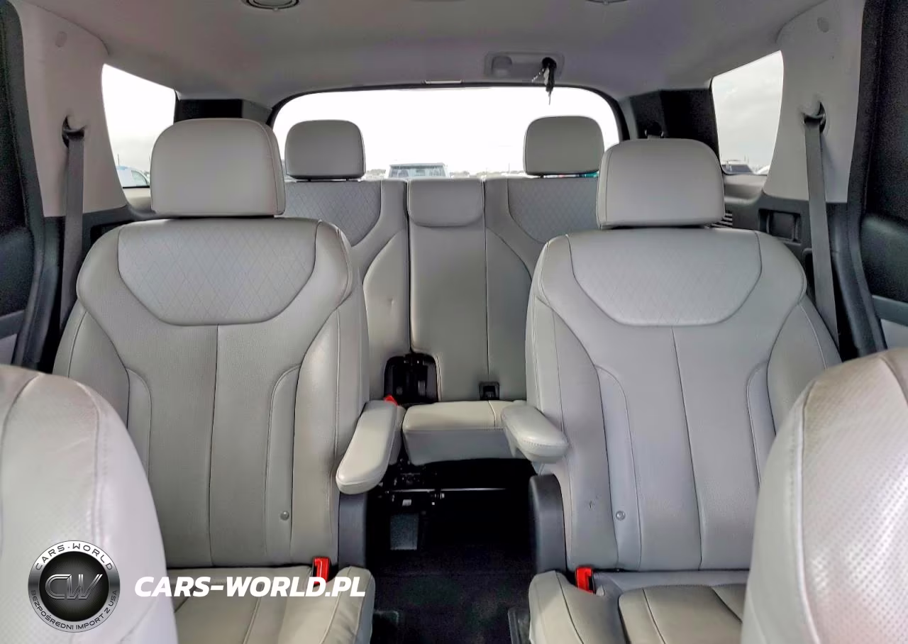 2020 Hyundai Palisade Sel VIN:KM8R44HE5LU095506 - 10