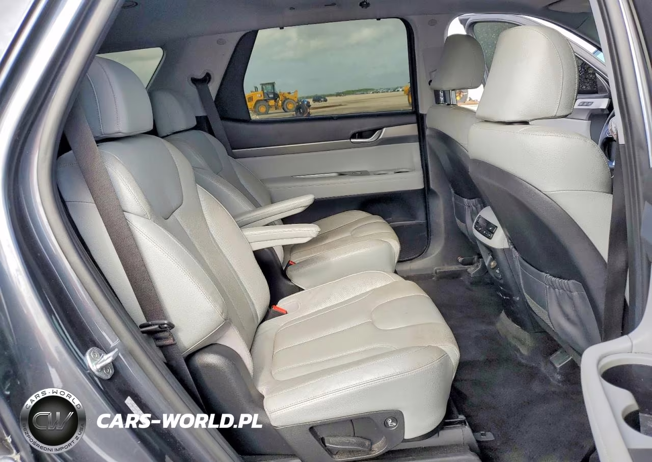 2020 Hyundai Palisade Sel VIN:KM8R44HE5LU095506 - 11