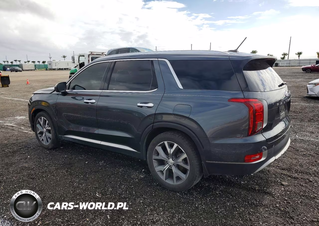 2020 Hyundai Palisade Sel VIN:KM8R44HE5LU095506 - 2