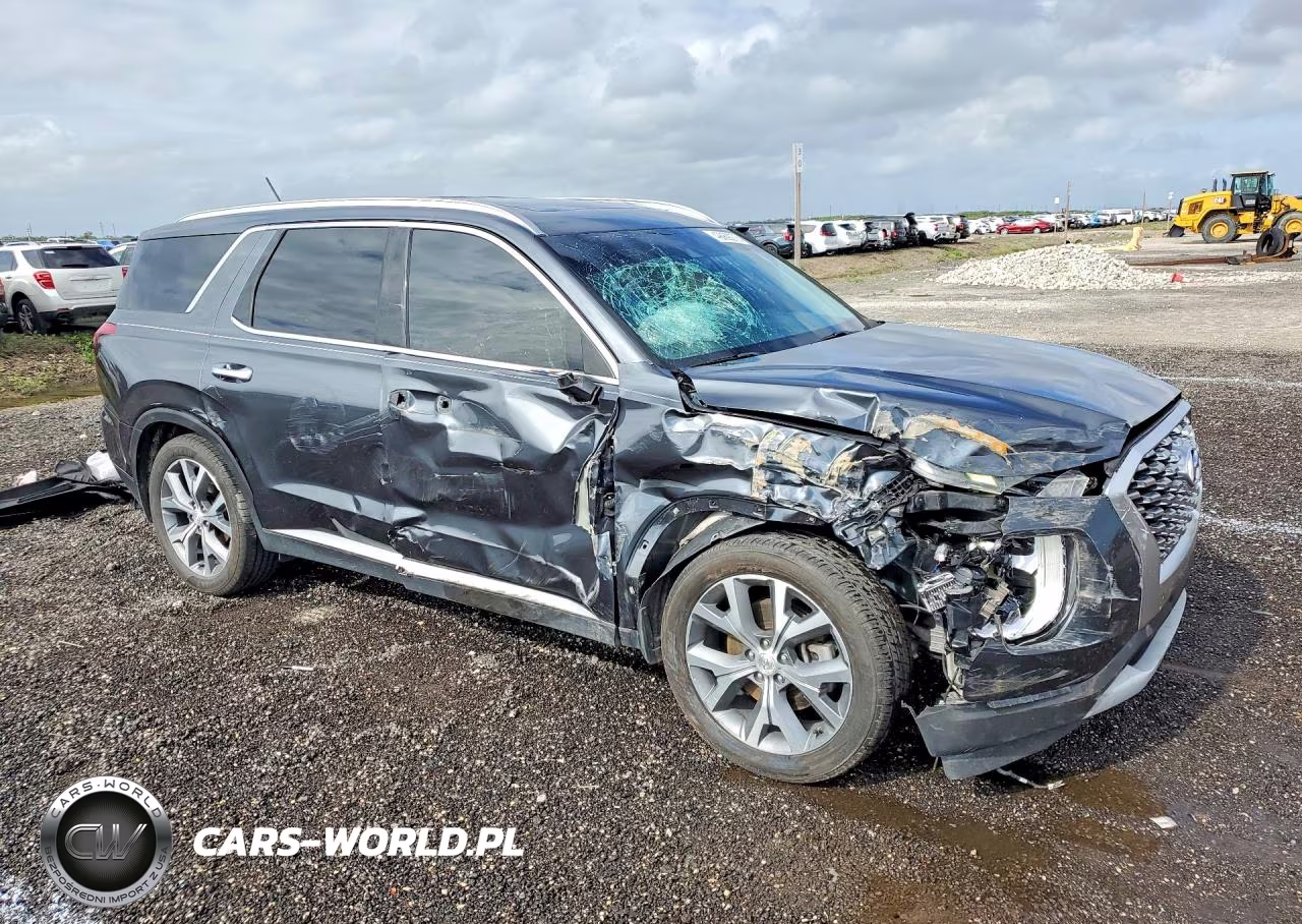 2020 Hyundai Palisade Sel VIN:KM8R44HE5LU095506 - 4