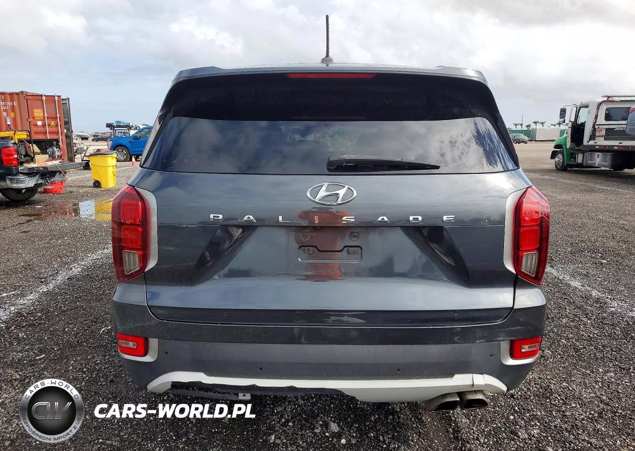 2020 Hyundai Palisade Sel VIN:KM8R44HE5LU095506 - 6