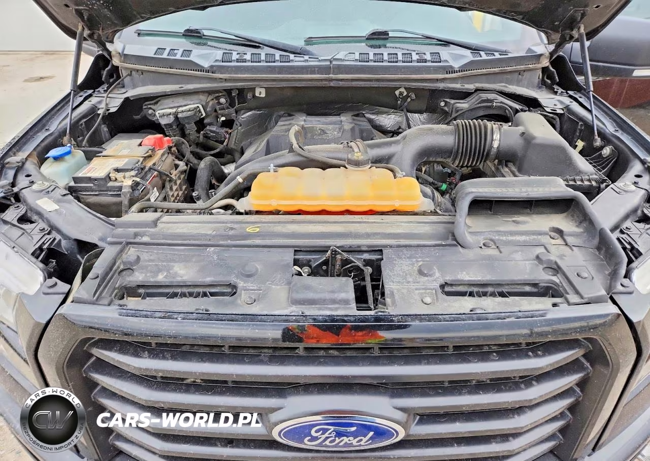 2016 Ford F150 VIN:1FTEW1EP9GFC08420 - 10
