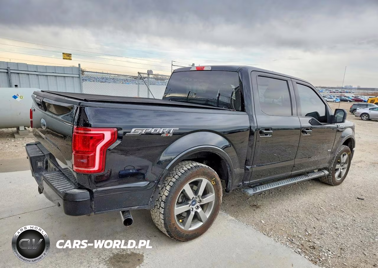 2016 Ford F150 VIN:1FTEW1EP9GFC08420 - 2