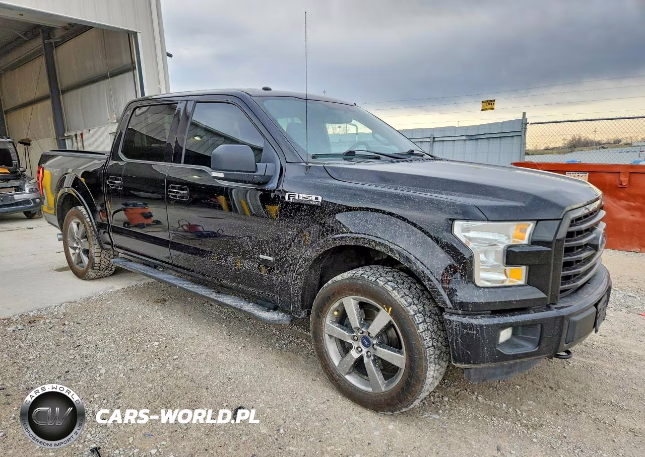 2016 Ford F150 VIN:1FTEW1EP9GFC08420 - 3