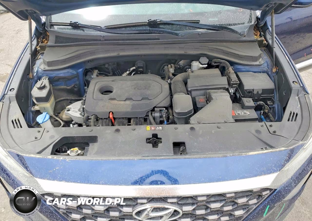 2019 Hyundai Santa Fe Se 2.4L VIN:5NMS23AD3KH034359 - 11