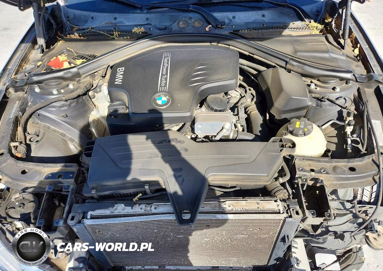2016 BMW 320 Xi VIN:WBA8E5G56GNT41612 - 11