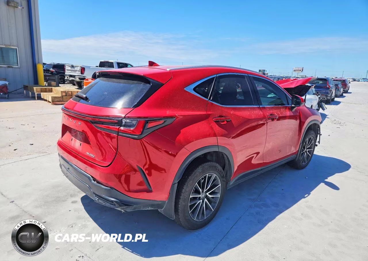 2023 Lexus Nx 250 Base VIN:2T2ADCAZ1PC005453 - 3
