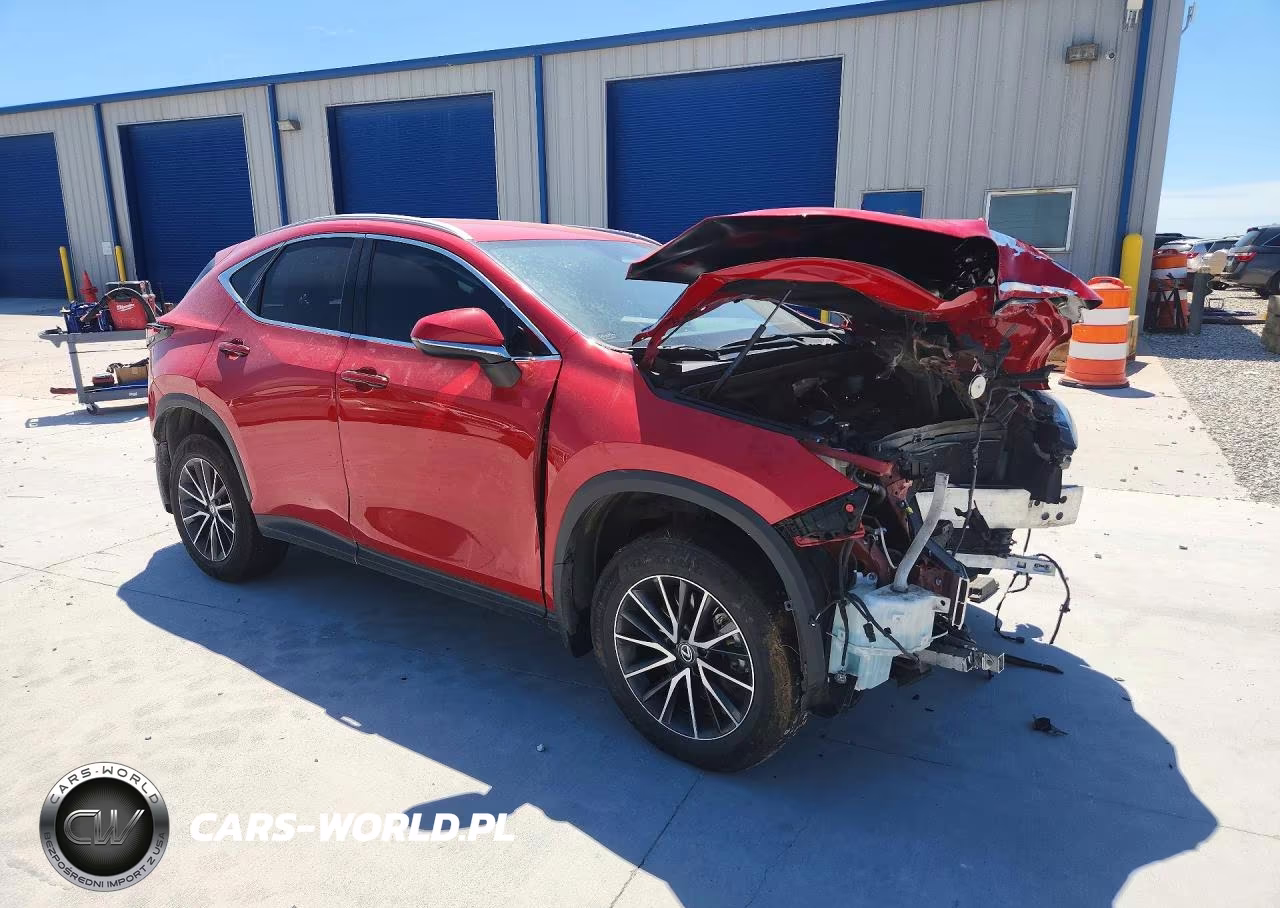 2023 Lexus Nx 250 Base VIN:2T2ADCAZ1PC005453 - 4