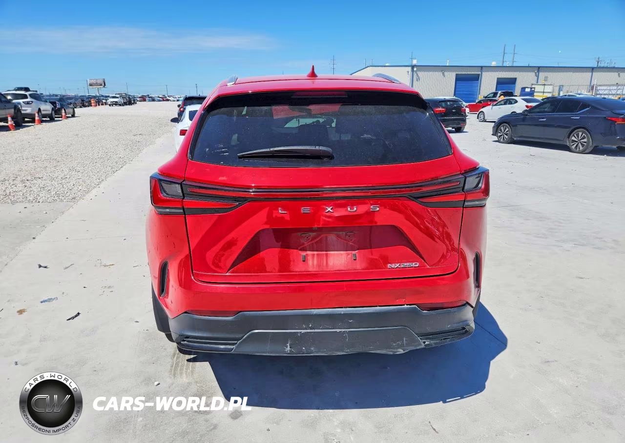 2023 Lexus Nx 250 Base VIN:2T2ADCAZ1PC005453 - 6