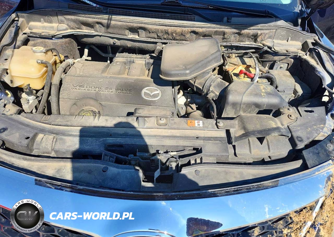 2011 Mazda Cx-9 VIN:JM3TB2CA0B0331209 - 12