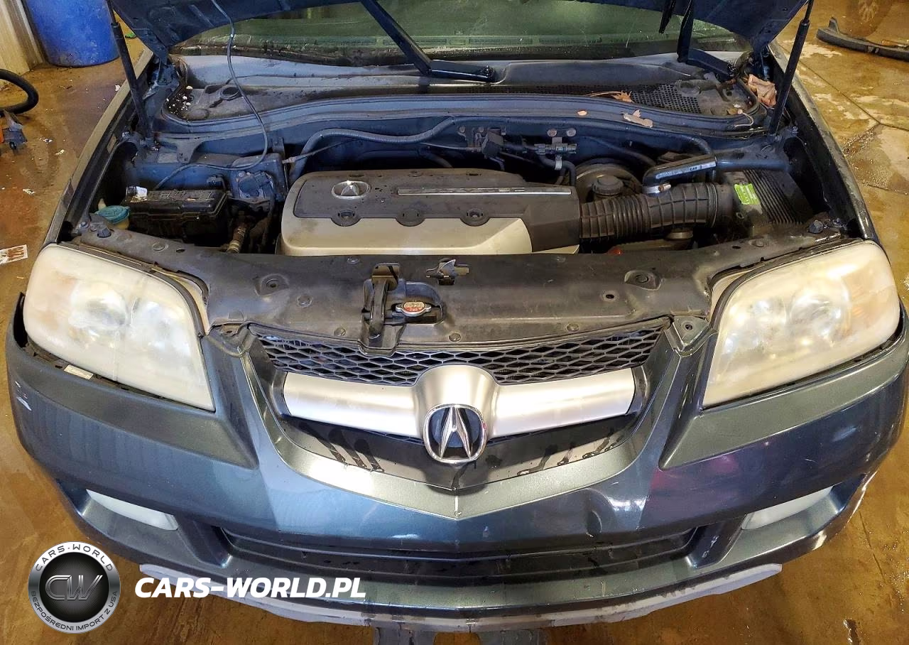 2005 Acura Mdx Touring VIN:2HNYD18655H557229 - 12