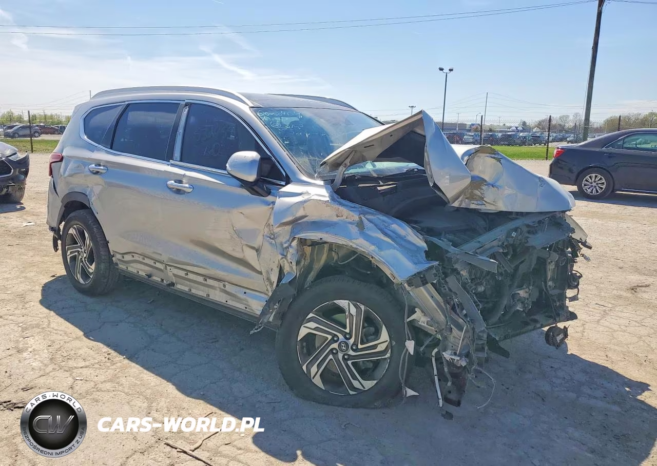 2023 Hyundai Santa Fe Sel VIN:5NMS3DAJ8PH532458 - 4