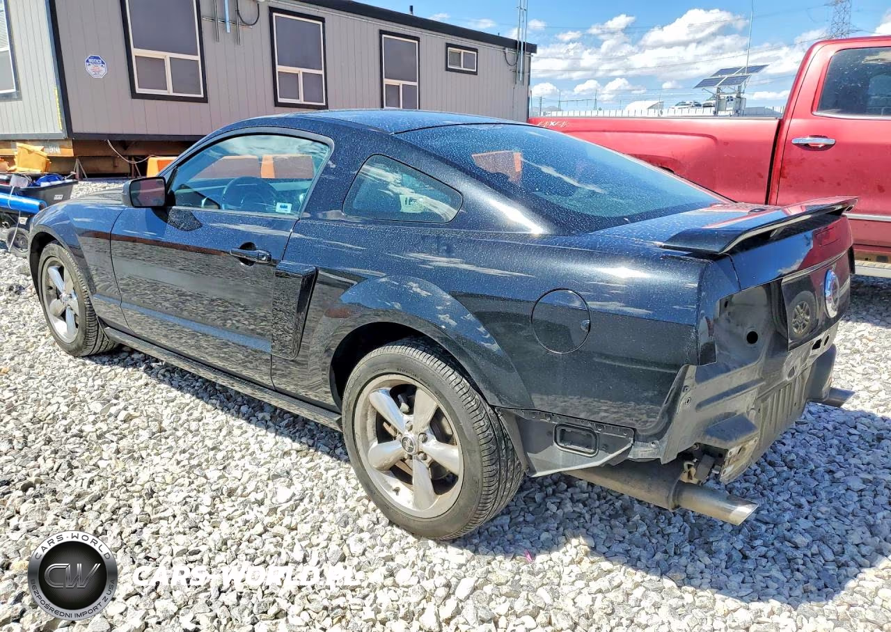 2007 Ford Mustang Gt VIN:1ZVHT82H875301007 - 2