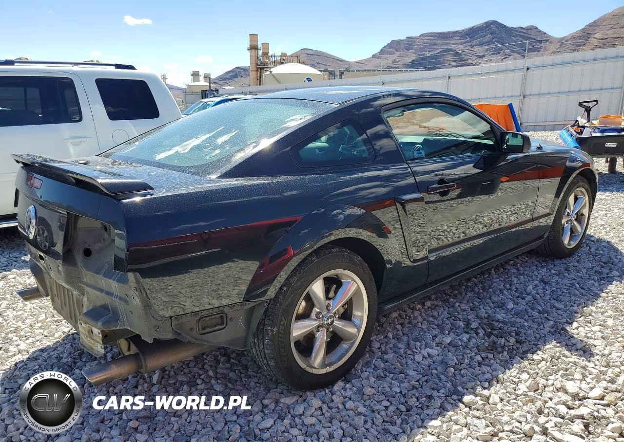 2007 Ford Mustang Gt VIN:1ZVHT82H875301007 - 3