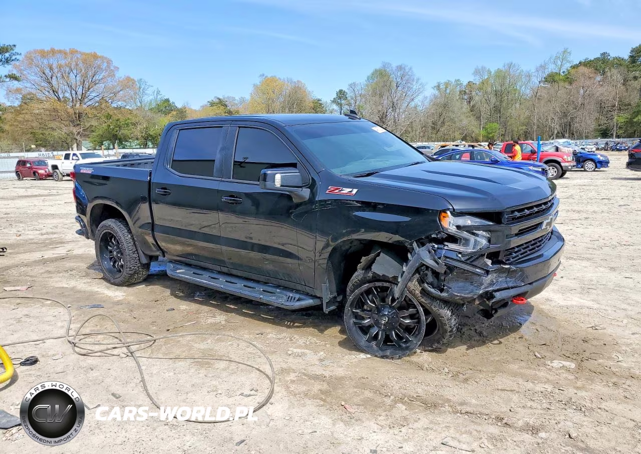2019 Chevrolet Silverado K1500 Lt Trail Boss VIN:3GCPYFED7KG103422 - 4