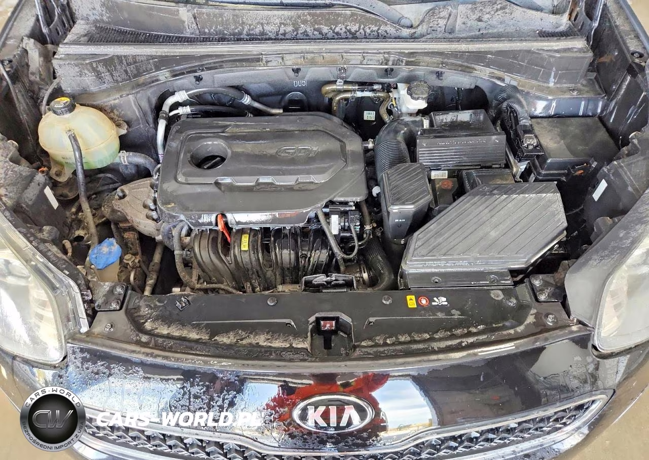 2017 Kia Sportage Lx VIN:KNDPM3AC2H7135609 - 11