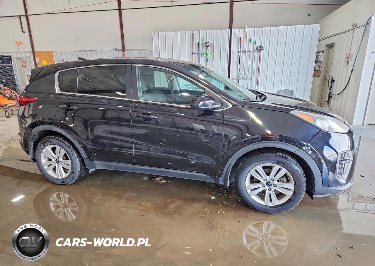 2017 Kia Sportage Lx VIN:KNDPM3AC2H7135609 - 4
