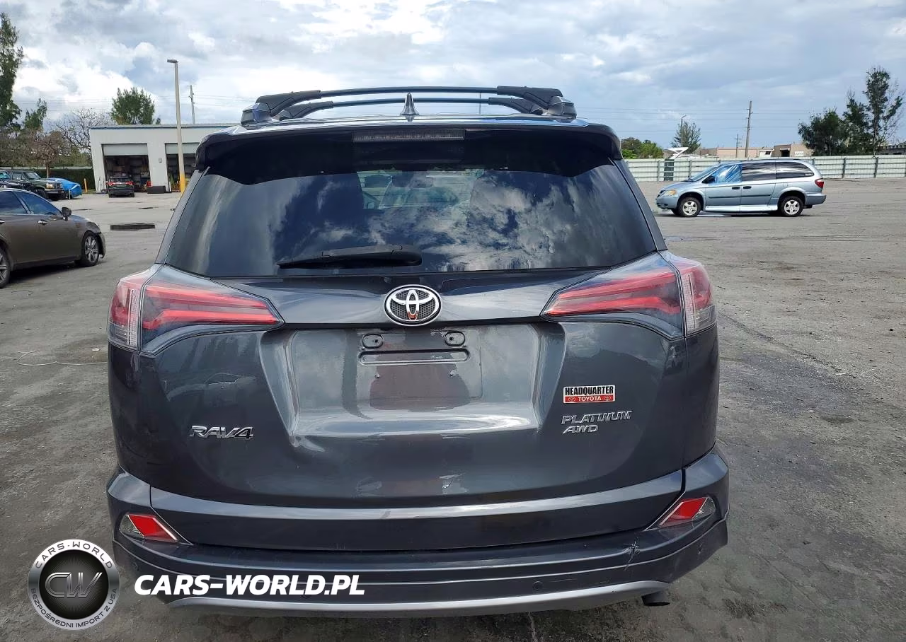 2017 Toyota Rav4 Platinum VIN:2T3DFREV6HW575235 - 6