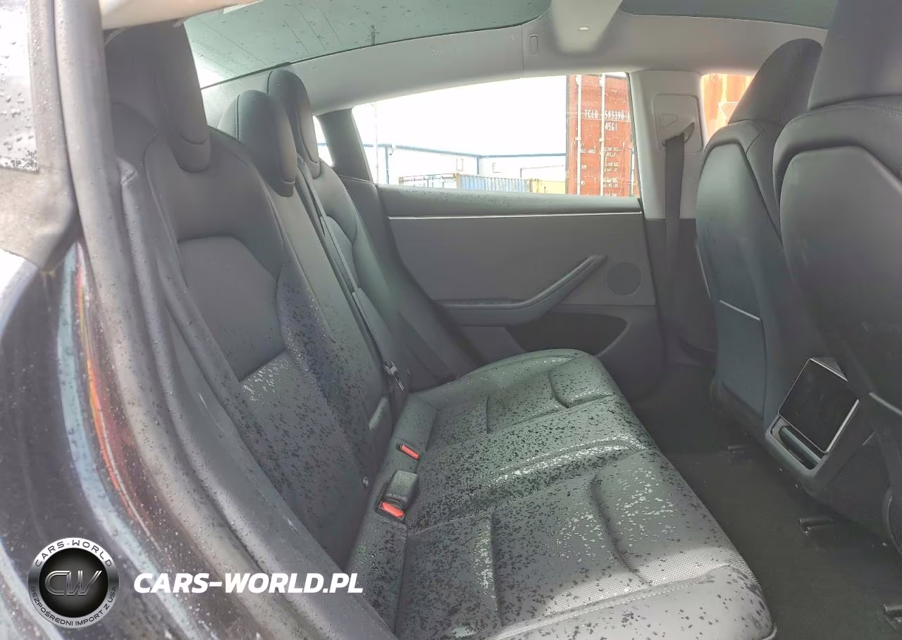 2025 Tesla Model 3 VIN:5YJ3E1EA1SF970823 - 10