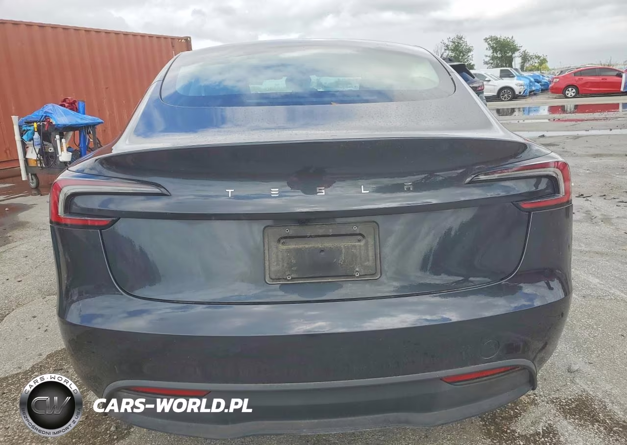 2025 Tesla Model 3 VIN:5YJ3E1EA1SF970823 - 6