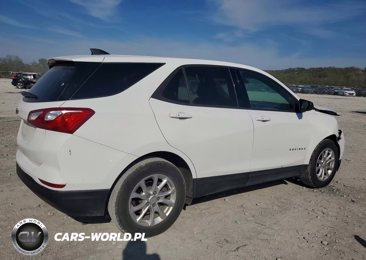 2019 Chevrolet Equinox Ls VIN:3GNAXHEV2KL333395 - 3