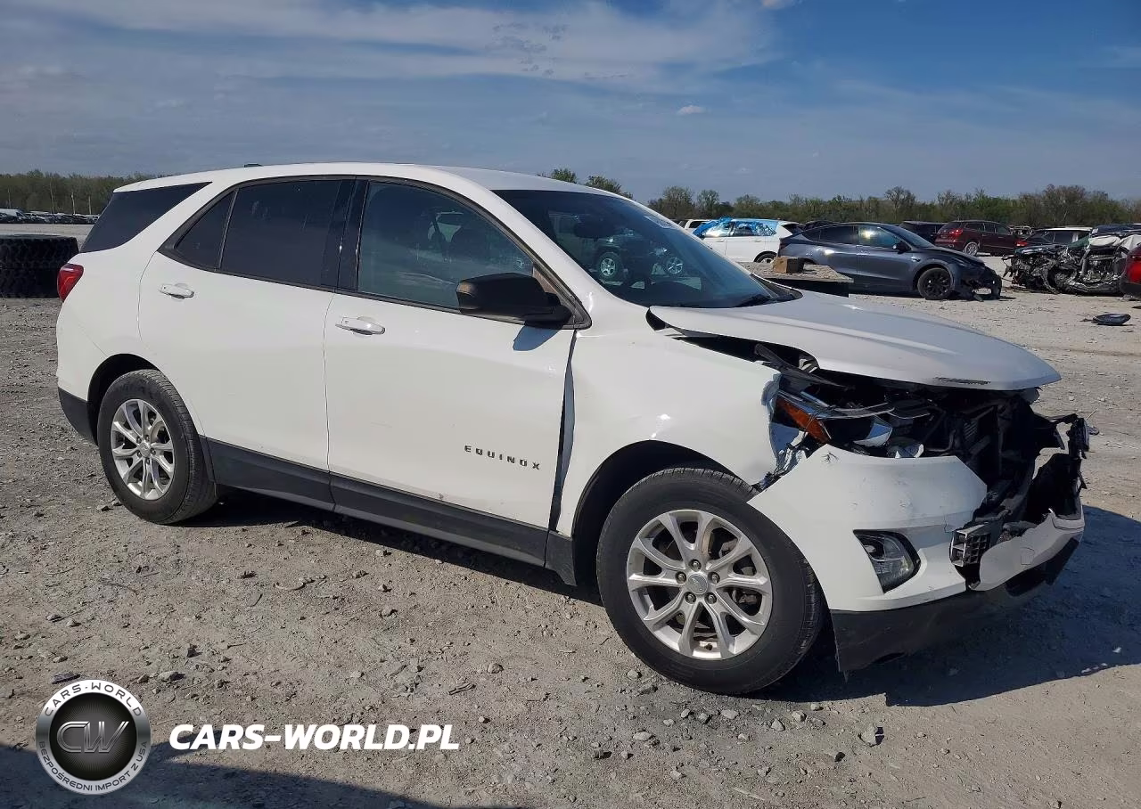 2019 Chevrolet Equinox Ls VIN:3GNAXHEV2KL333395 - 4