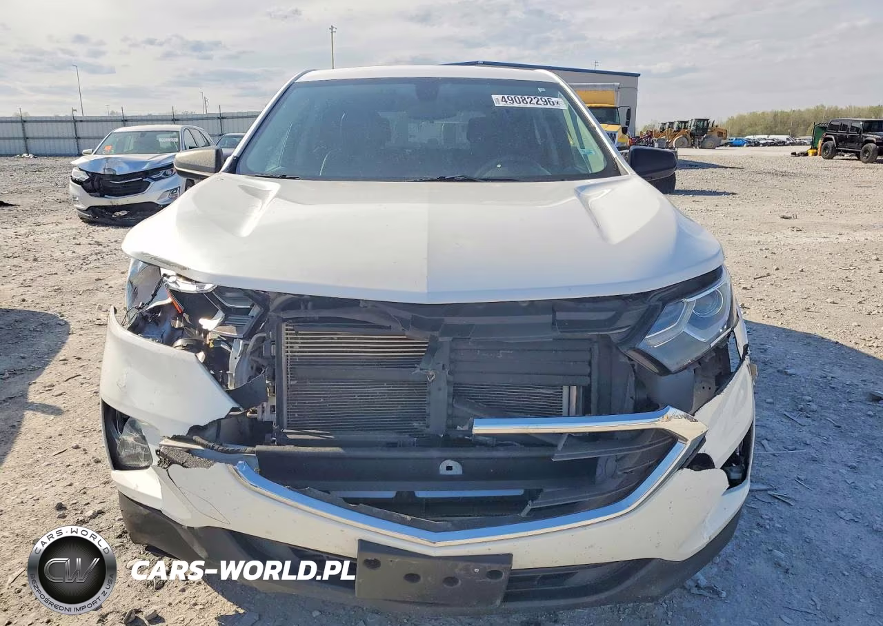 2019 Chevrolet Equinox Ls VIN:3GNAXHEV2KL333395 - 5