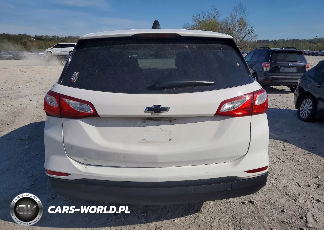 2019 Chevrolet Equinox Ls VIN:3GNAXHEV2KL333395 - 6