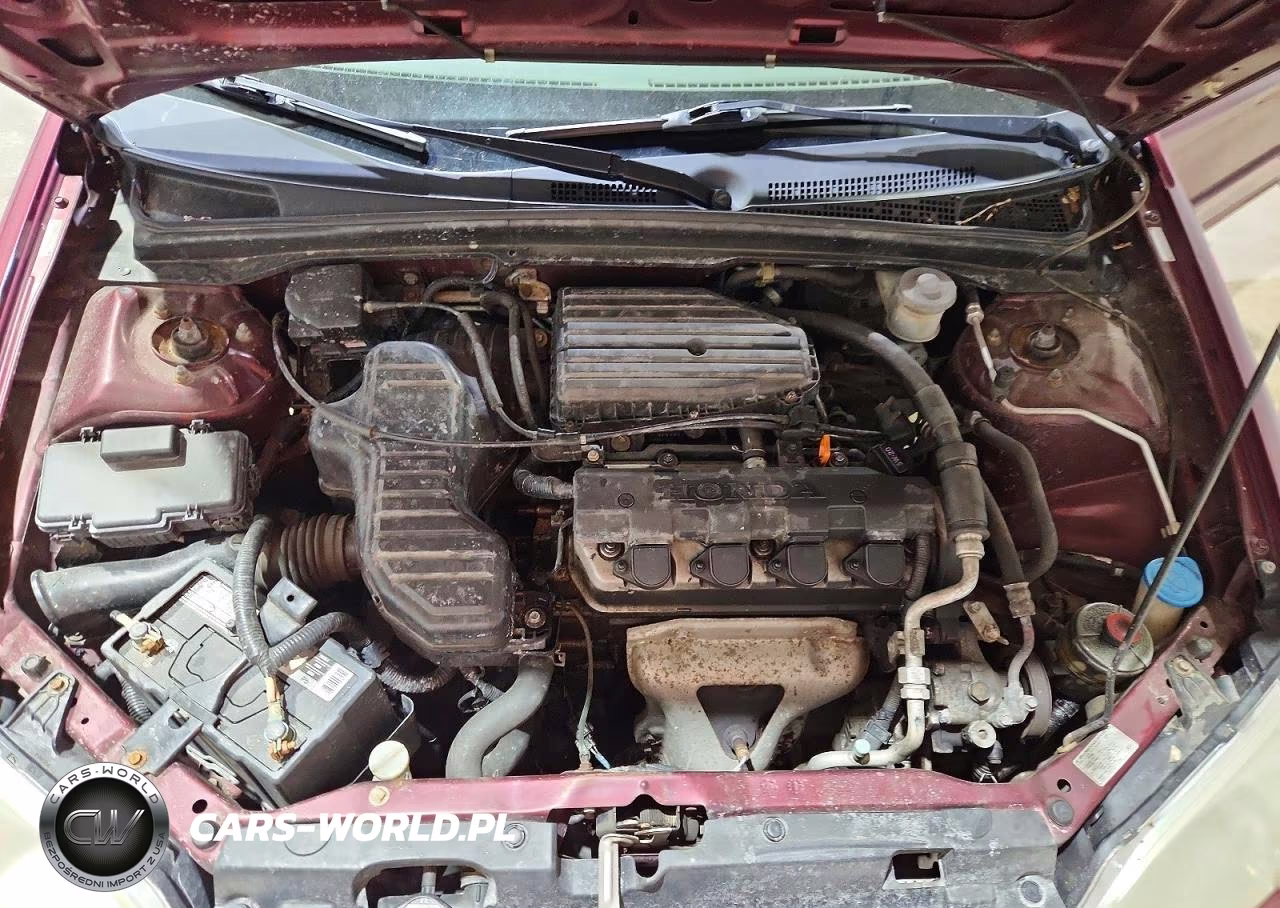 2003 Honda Civic Lx VIN:1HGES16503L029463 - 11