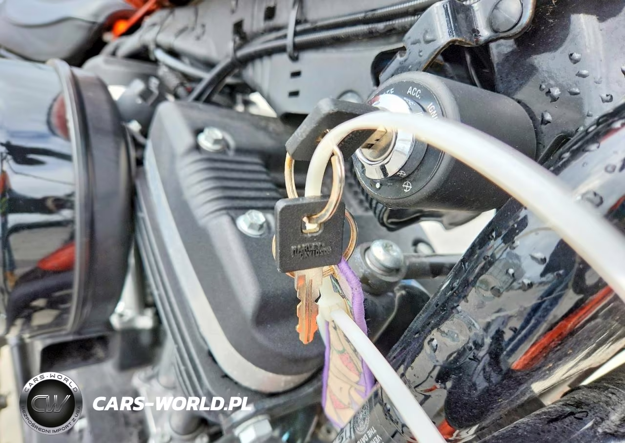 2020 Harley-Davidson Xl883 N VIN:1HD4LE21XLB410274 - 8