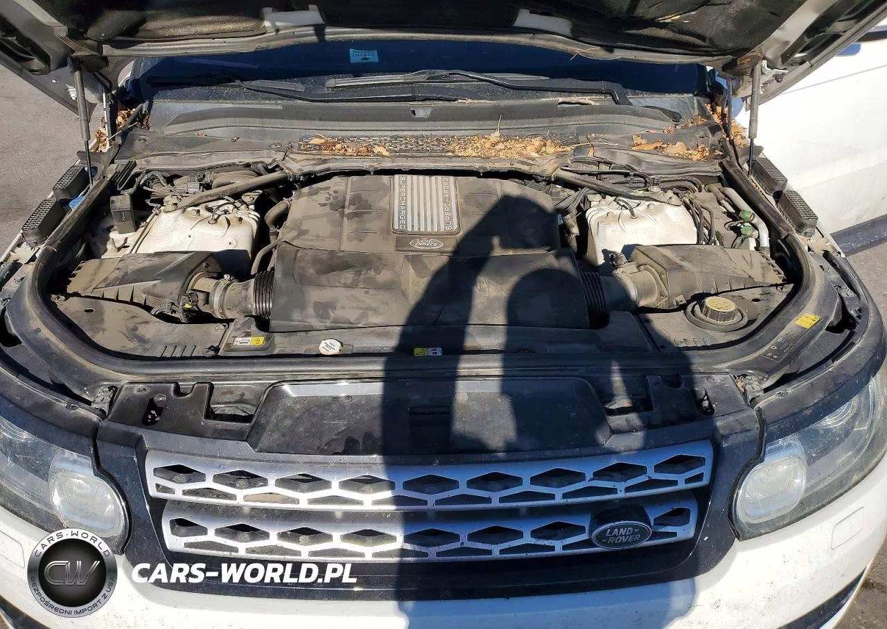 2016 Land Rover Range Rover Sport Hse VIN:SALWR2PF2GA663797 - 12
