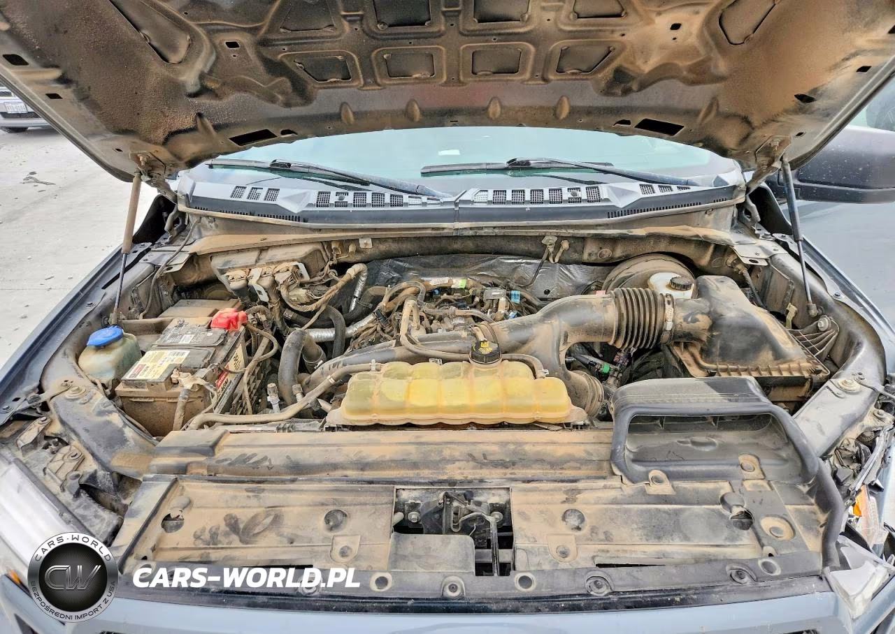 2019 Ford F150 Supercrew VIN:1FTEW1CPXKKE12923 - 11