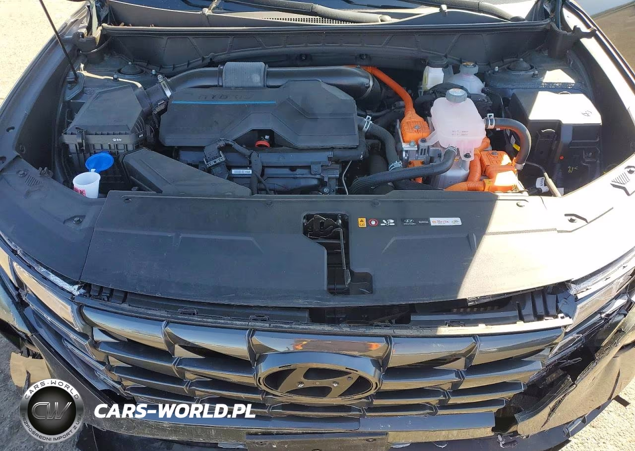 2023 Hyundai Tucson Hybrid Blue VIN:KM8JBCA15PU085052 - 11
