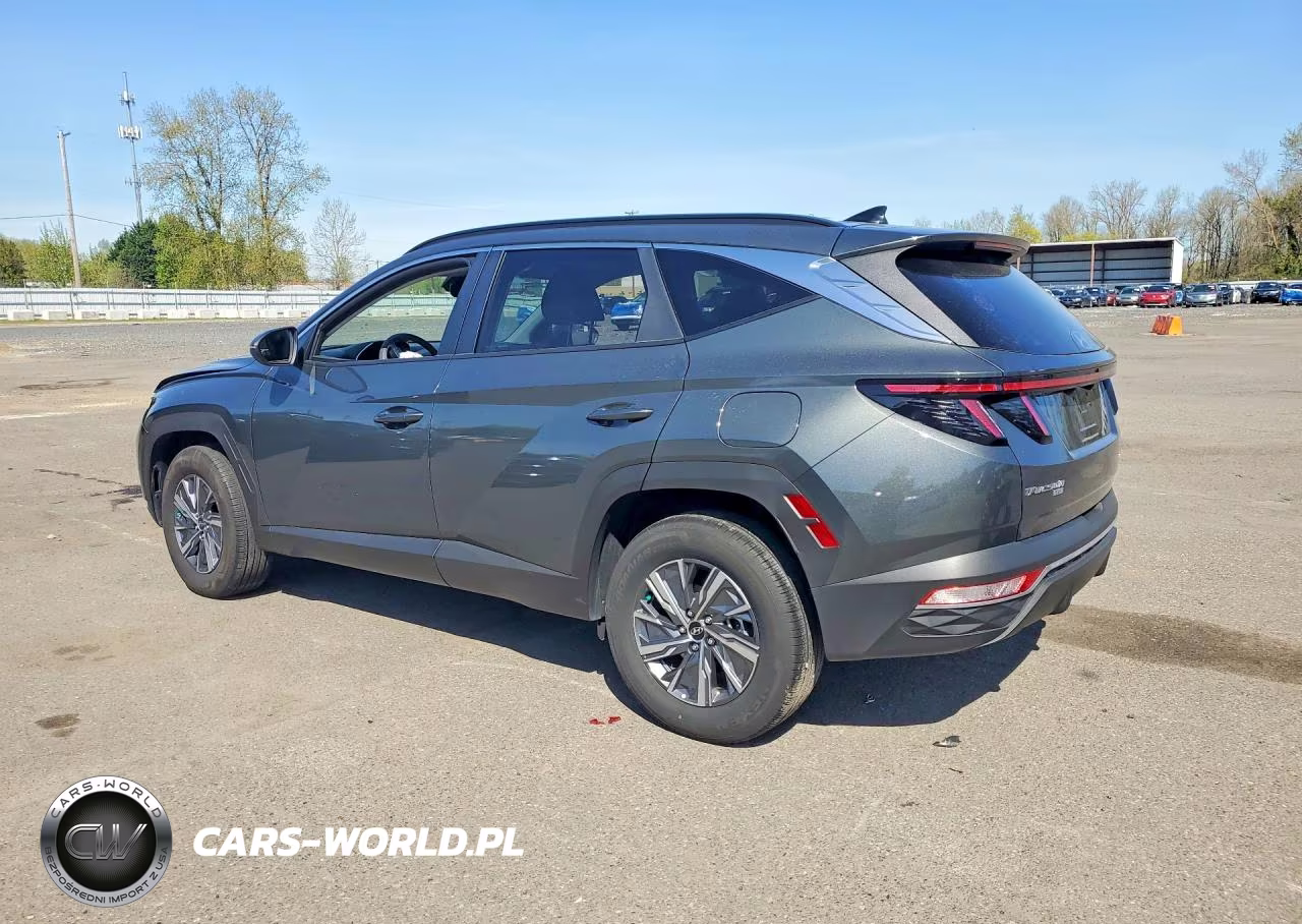 2023 Hyundai Tucson Hybrid Blue VIN:KM8JBCA15PU085052 - 2