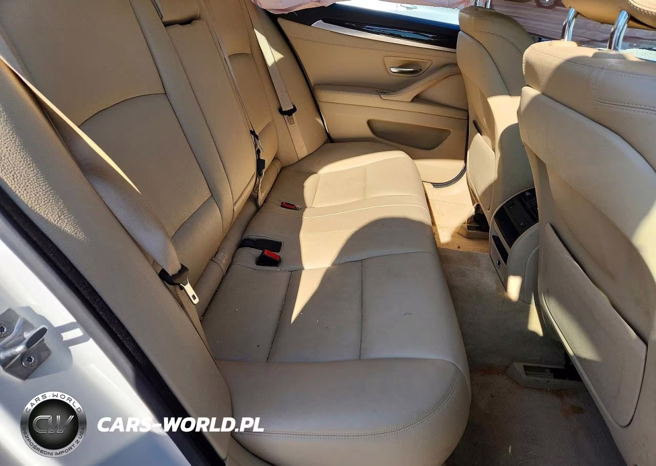 2014 BMW 528 Xi VIN:WBA5A7C50ED619357 - 10