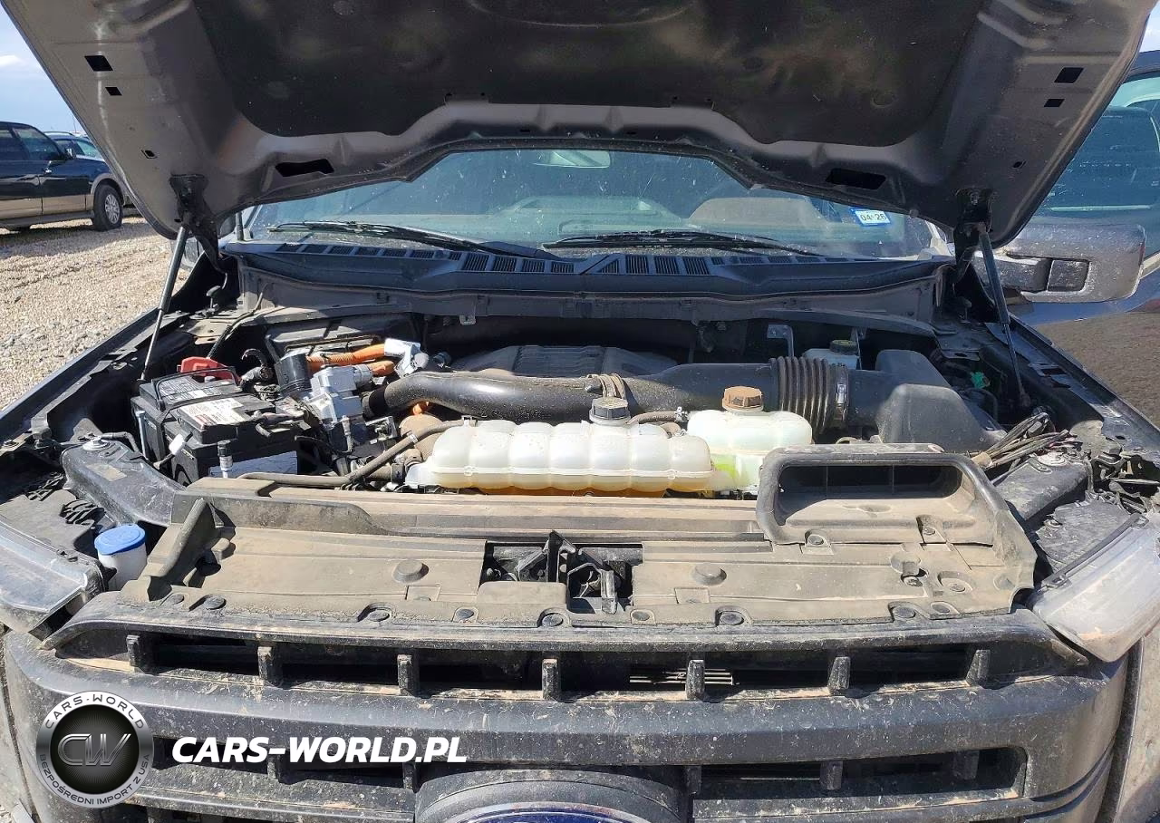 2023 Ford F150 Supercrew VIN:1FTFW1EDXPFB64521 - 11
