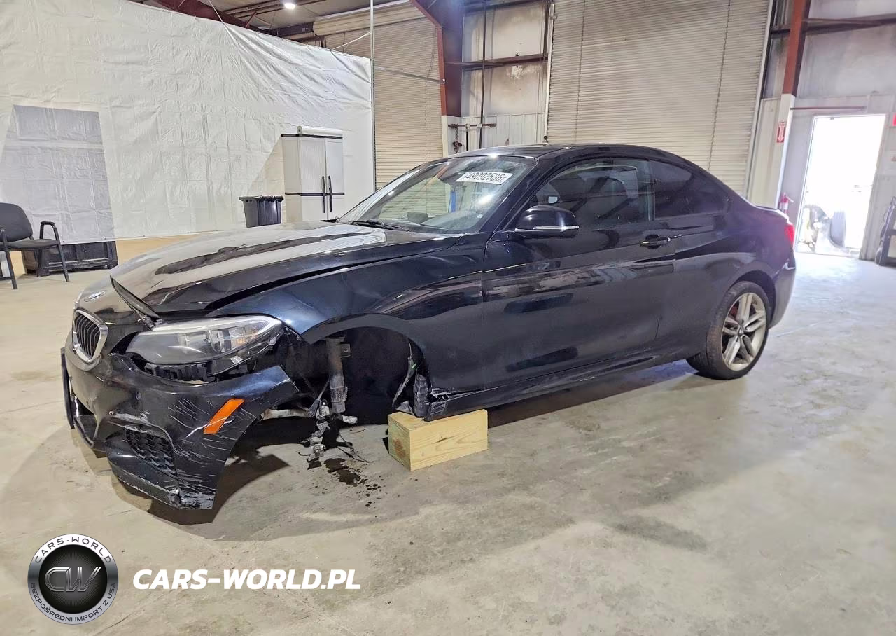 2016 BMW 228 I Sulev