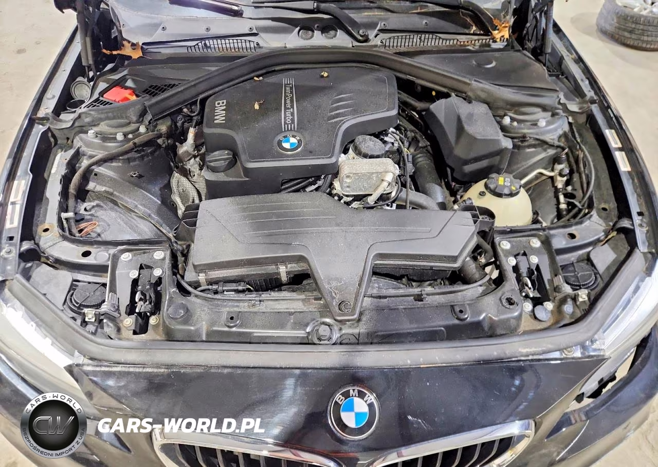 2016 BMW 228 I Sulev VIN:WBA1F9C52GV546498 - 11