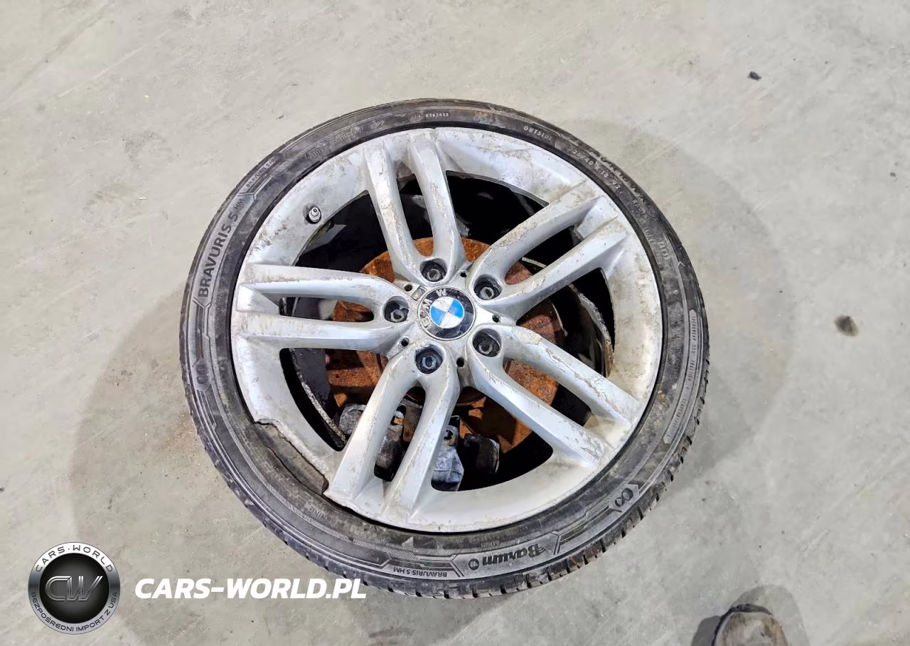 2016 BMW 228 I Sulev VIN:WBA1F9C52GV546498 - 12