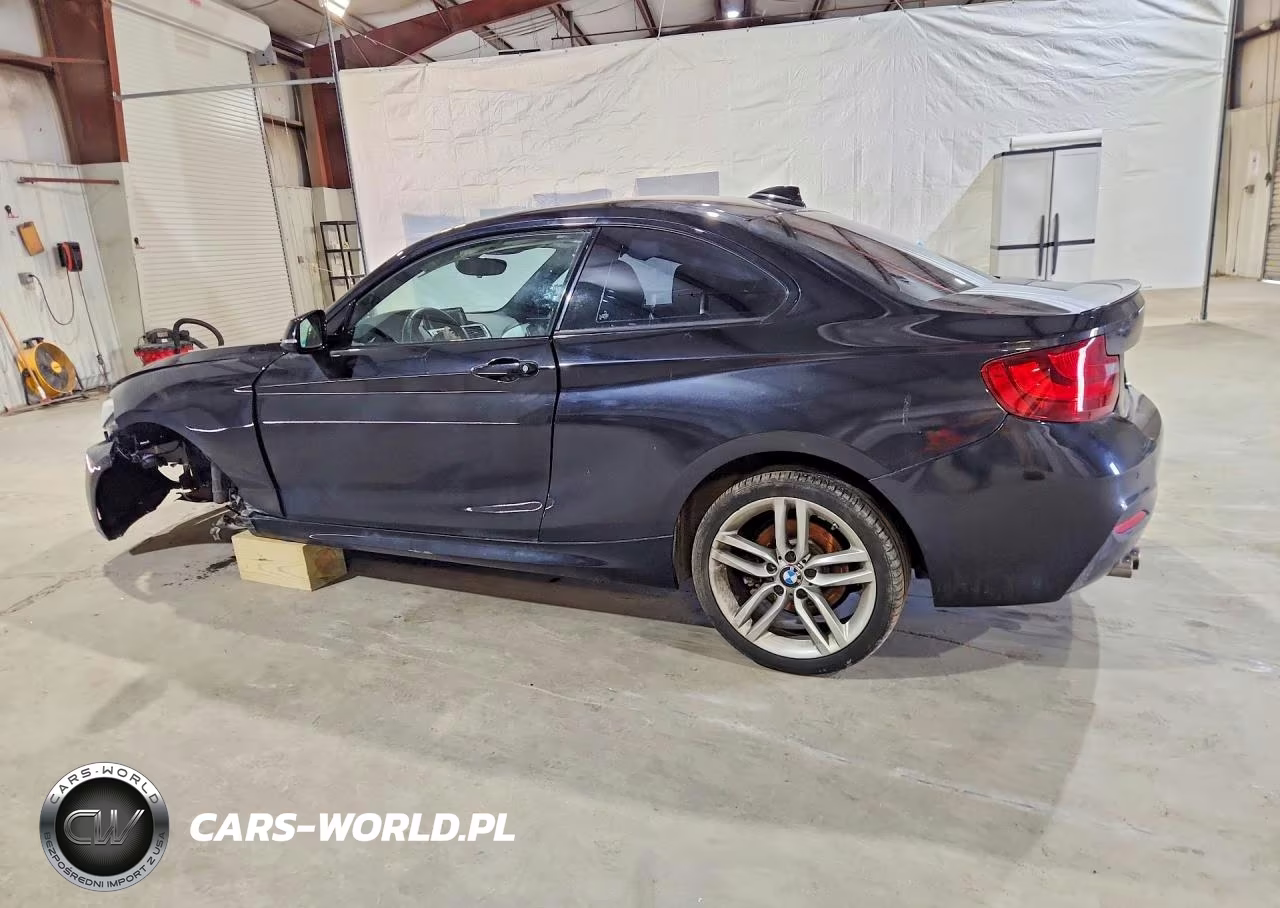 2016 BMW 228 I Sulev VIN:WBA1F9C52GV546498 - 2