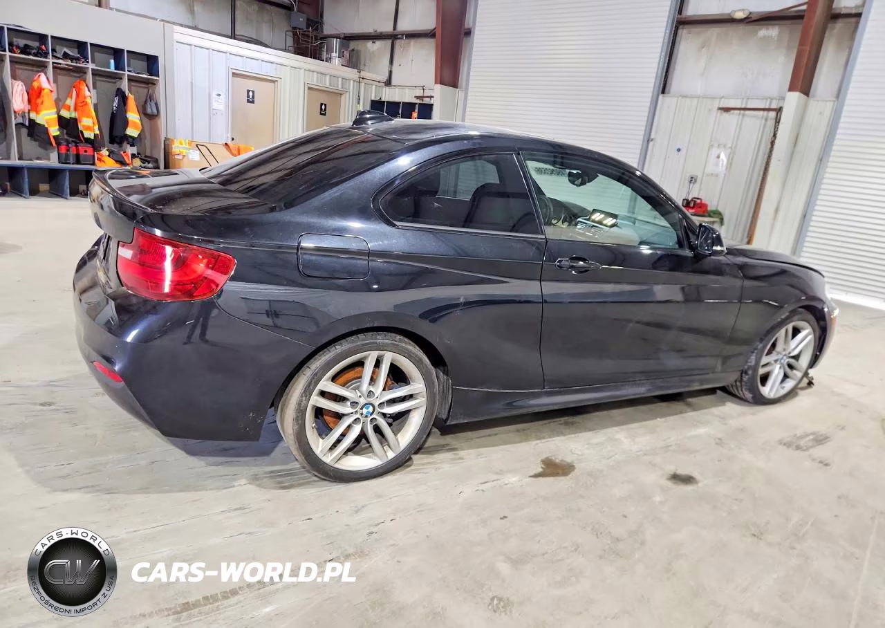 2016 BMW 228 I Sulev VIN:WBA1F9C52GV546498 - 3