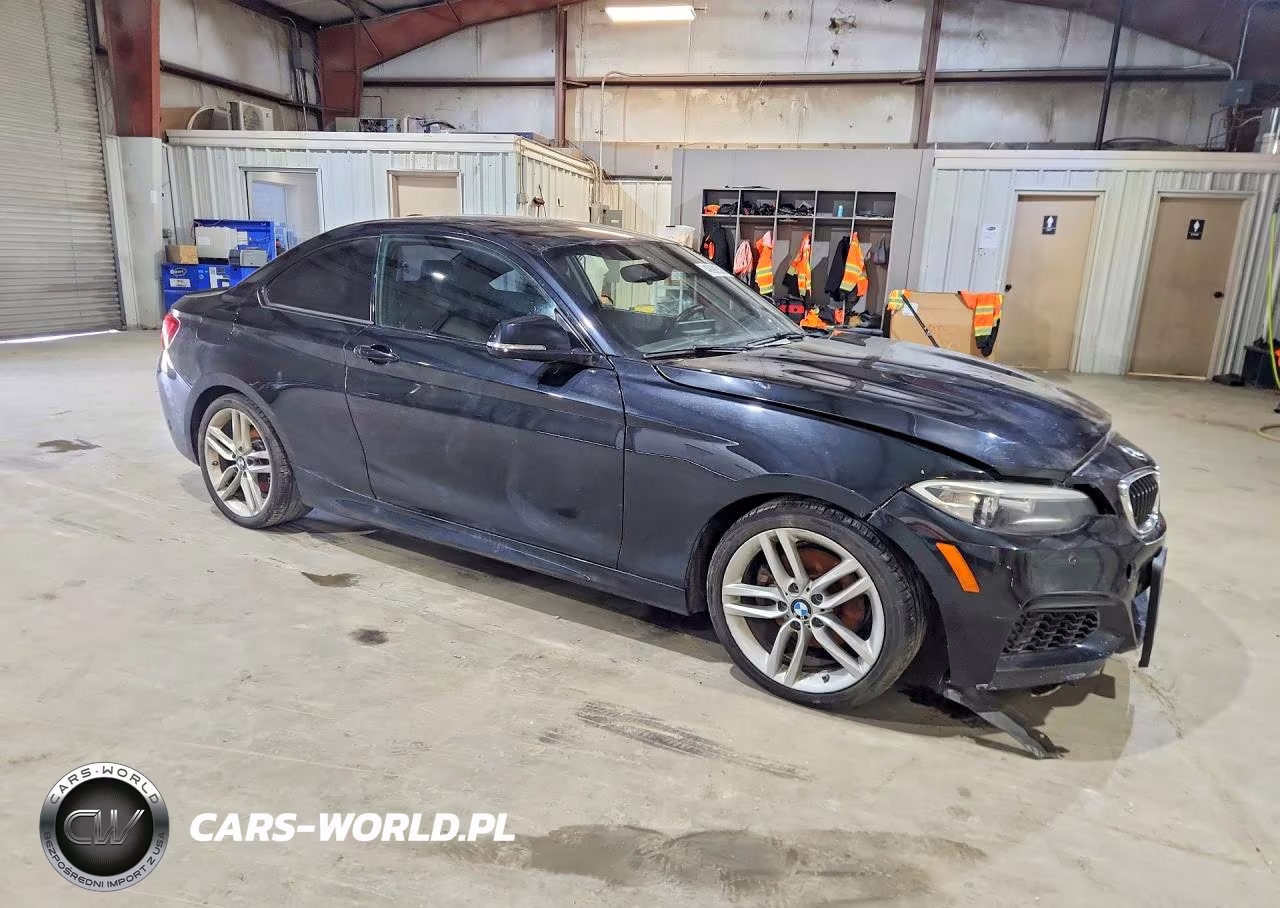 2016 BMW 228 I Sulev VIN:WBA1F9C52GV546498 - 4