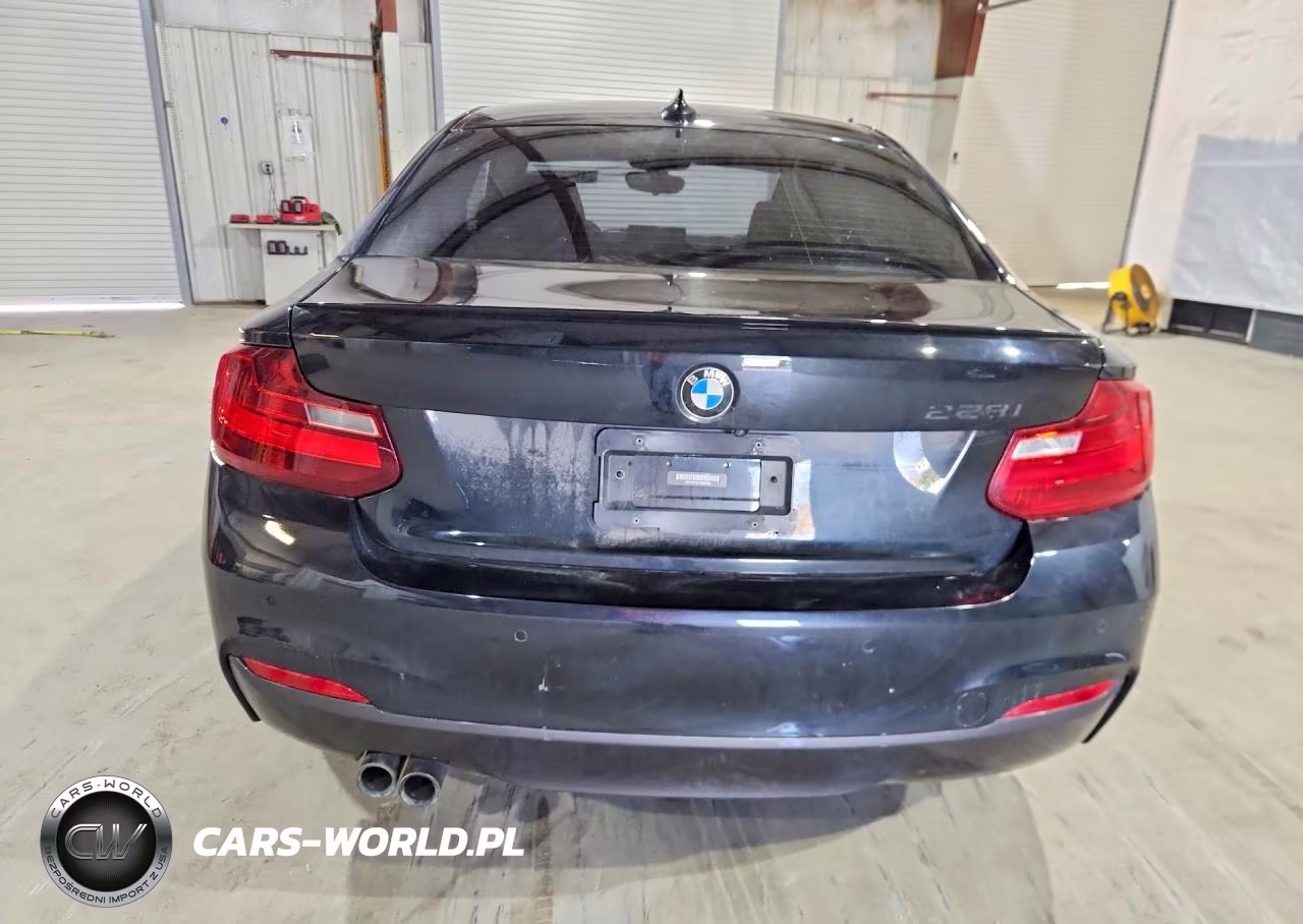 2016 BMW 228 I Sulev VIN:WBA1F9C52GV546498 - 6