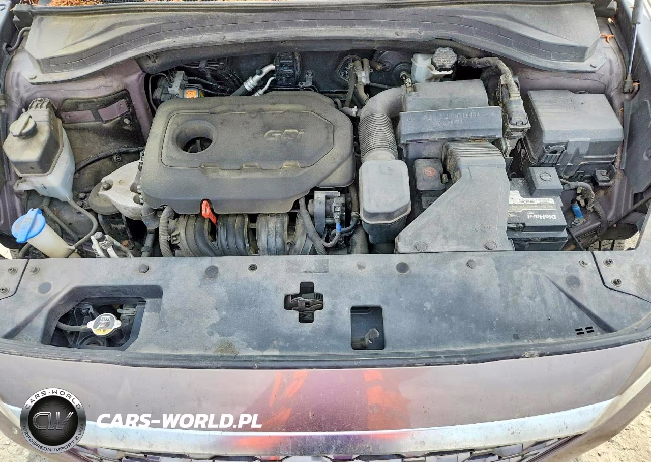 2019 Hyundai Santa Fe Se 2.4L VIN:5NMS23AD4KH015903 - 12