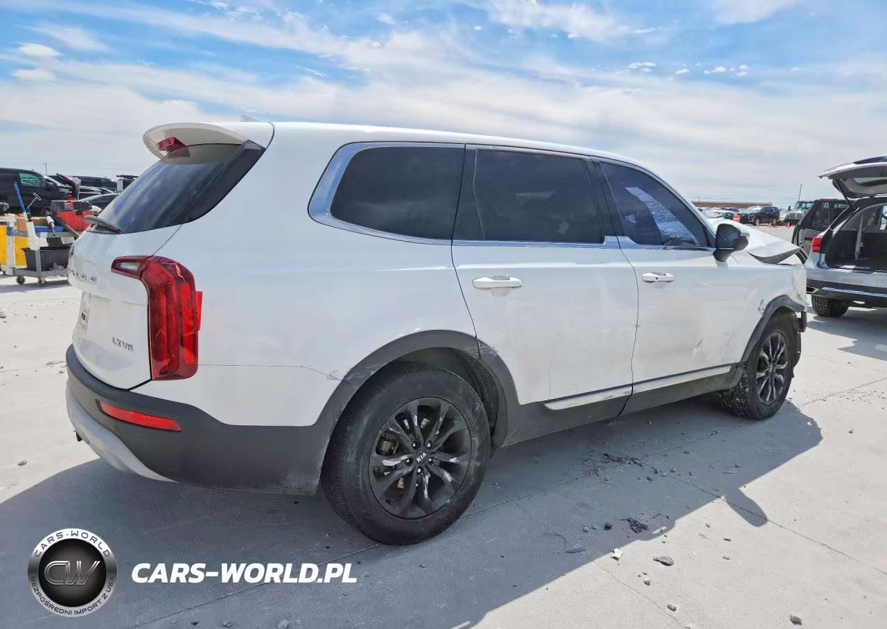 2020 Kia Telluride Lx VIN:5XYP24HC3LG046760 - 3